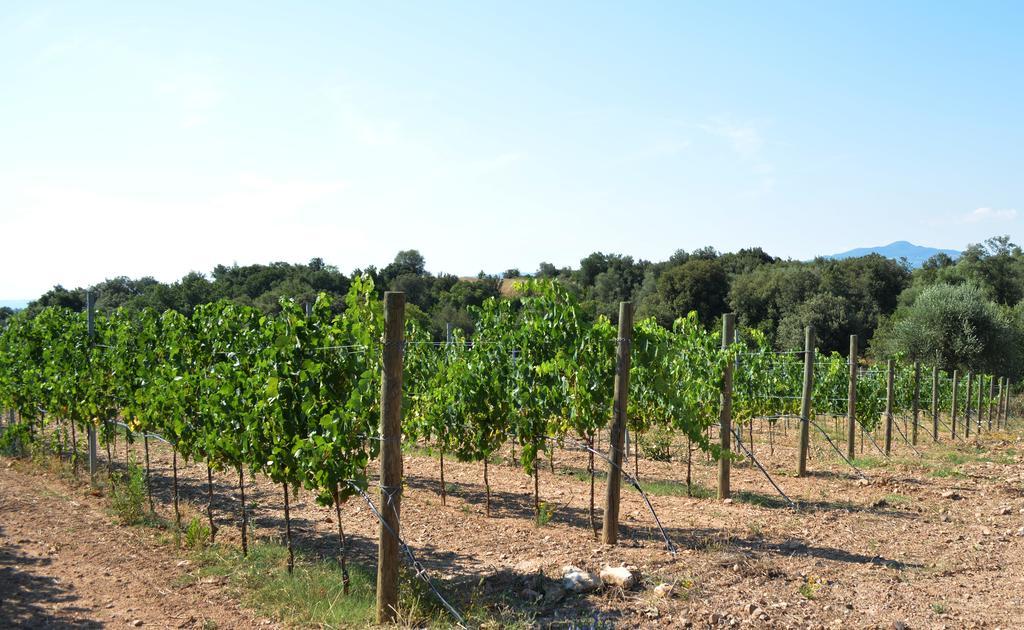 Tenuta Di Maro Sticciano Exterior photo